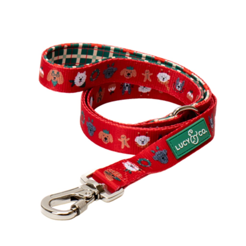 Let it Snow No-Pull Harness