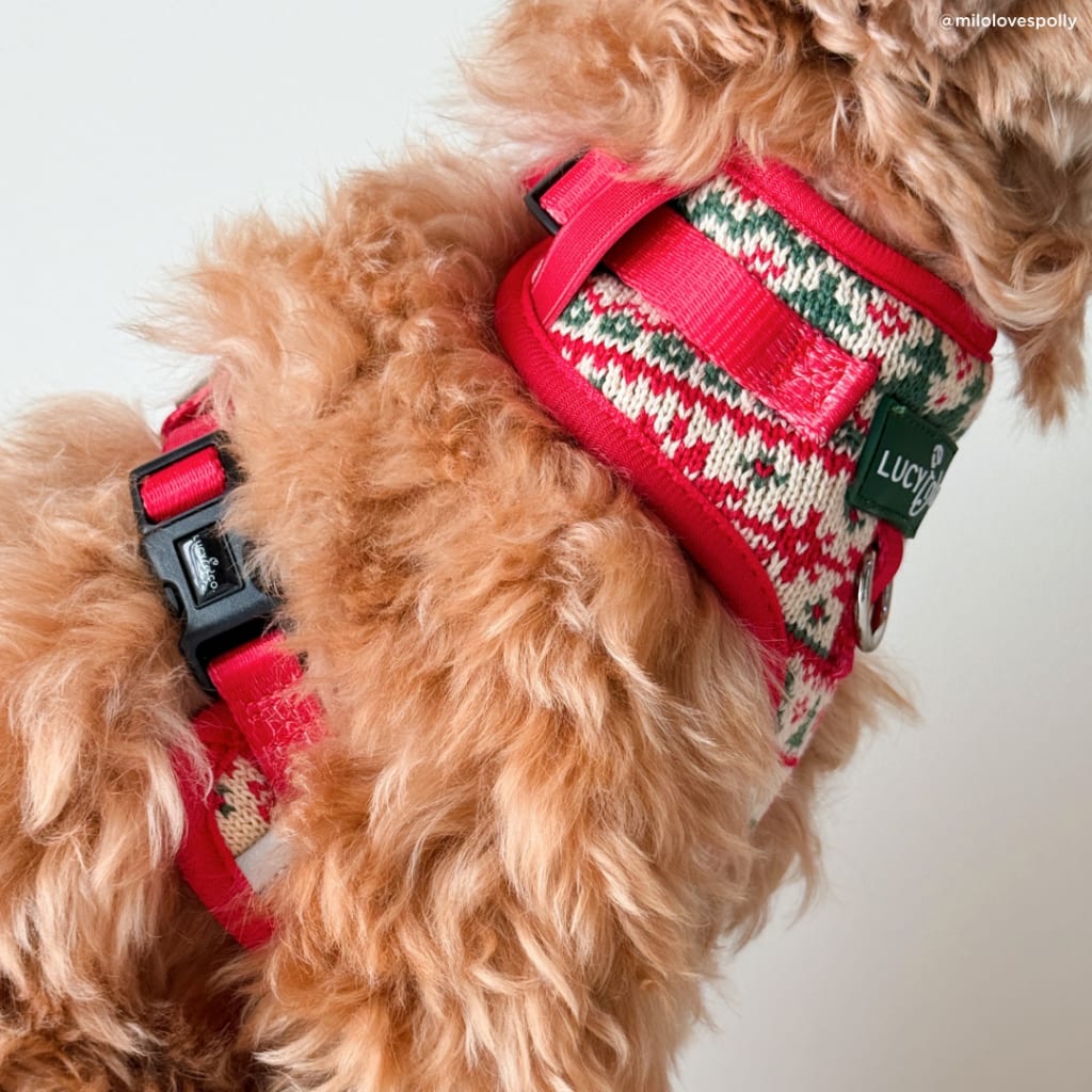 Let it Snow No-Pull Harness