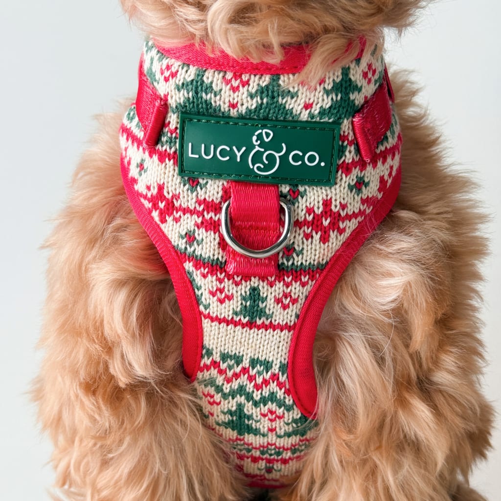 Let it Snow No-Pull Harness