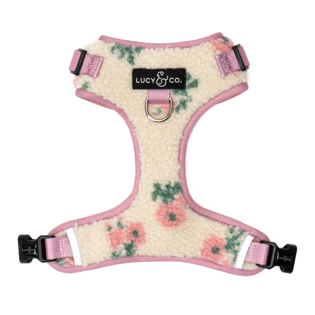 Let it Snow No-Pull Harness