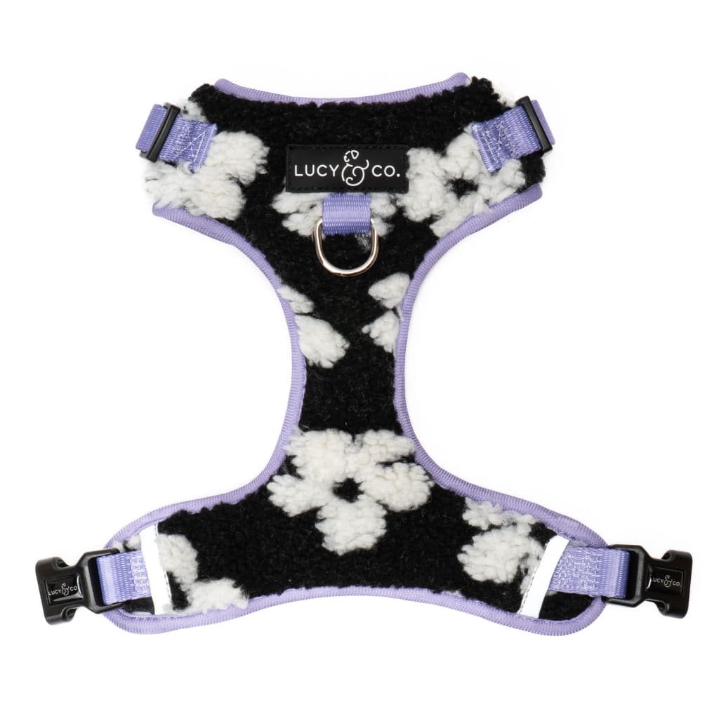 Let it Snow No-Pull Harness