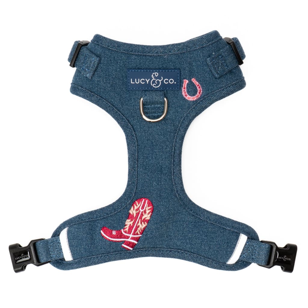 Let it Snow No-Pull Harness