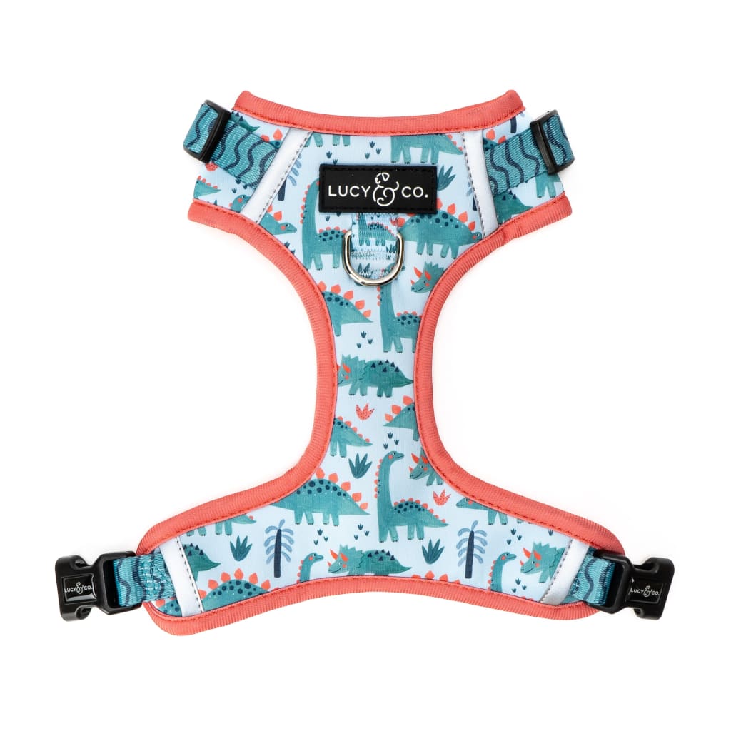 Let it Snow No-Pull Harness