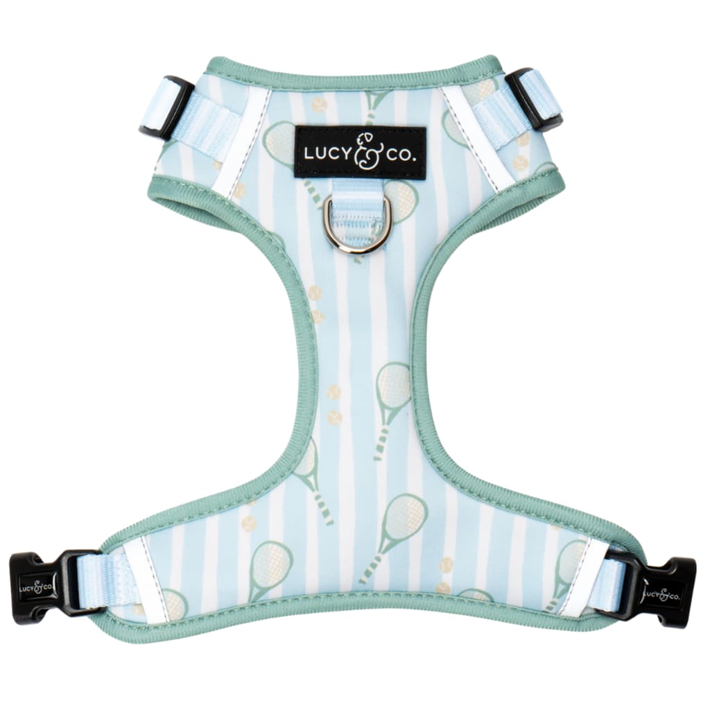 Let it Snow No-Pull Harness