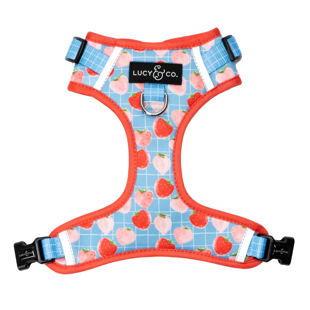 Let it Snow No-Pull Harness