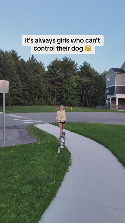 Hands Free Dog Leash